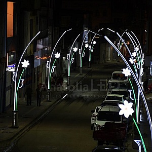 Anatolia LED | Cizre Belediyesi Dekoratif Aydınlatma Yapım İşi – 2020